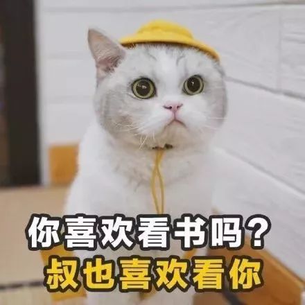 追女孩子的土味情话猫咪版表情包第2张